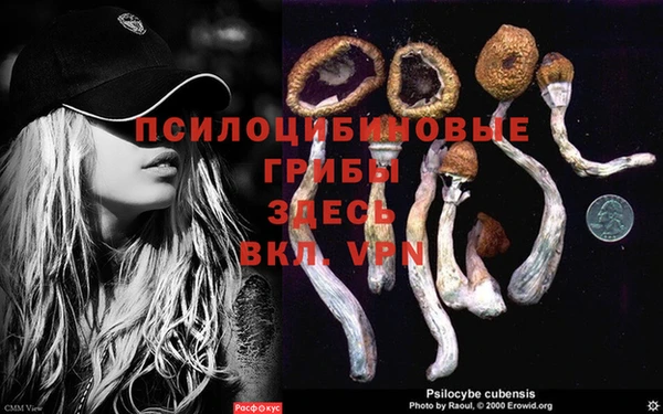 сатива Верхнеуральск