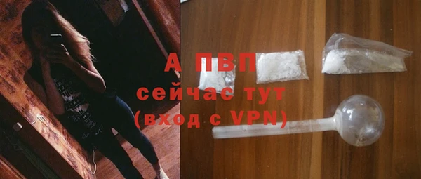 соль ск Верея
