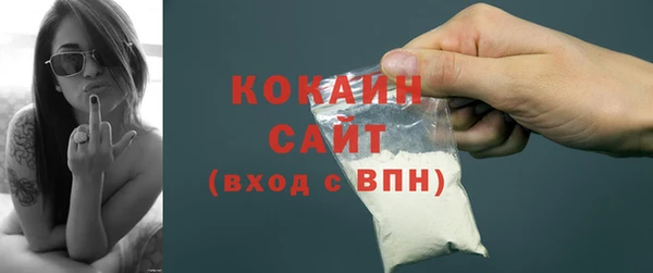 шишки Верхний Тагил