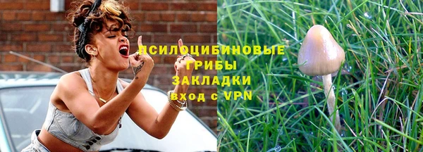 соль ск Верея