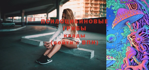 дмт Чегем