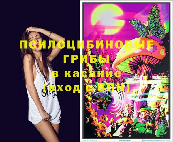 шишки Верхний Тагил