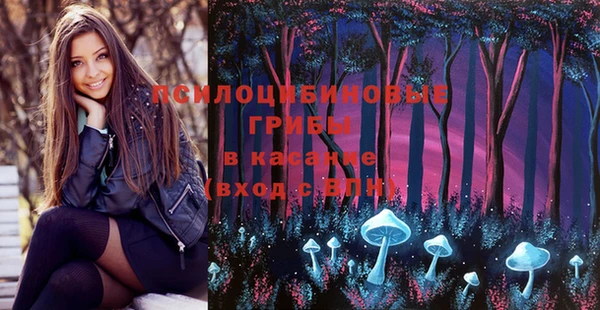 ПСИЛОЦИБИНОВЫЕ ГРИБЫ Волосово